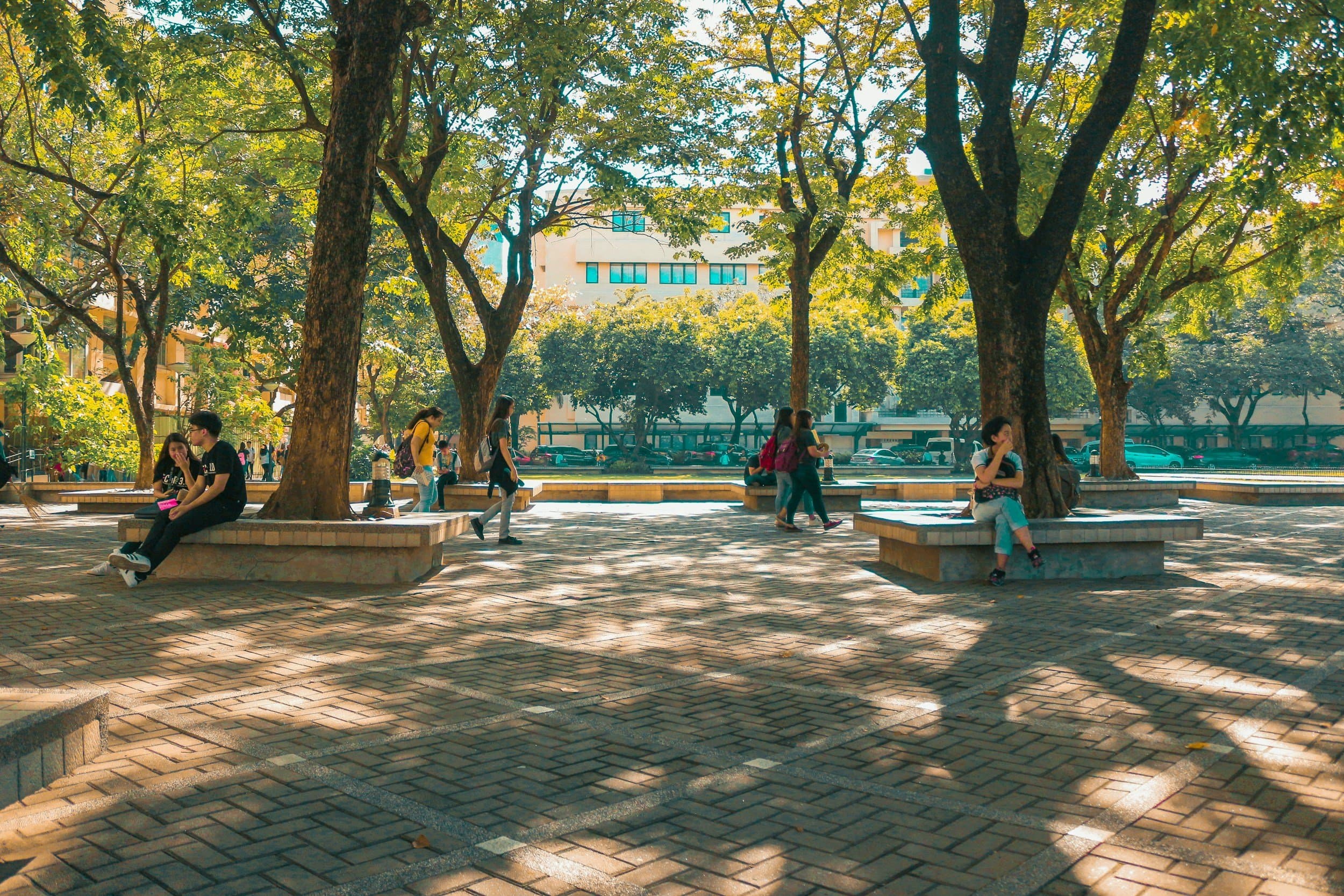 Merit-Based Scholarships