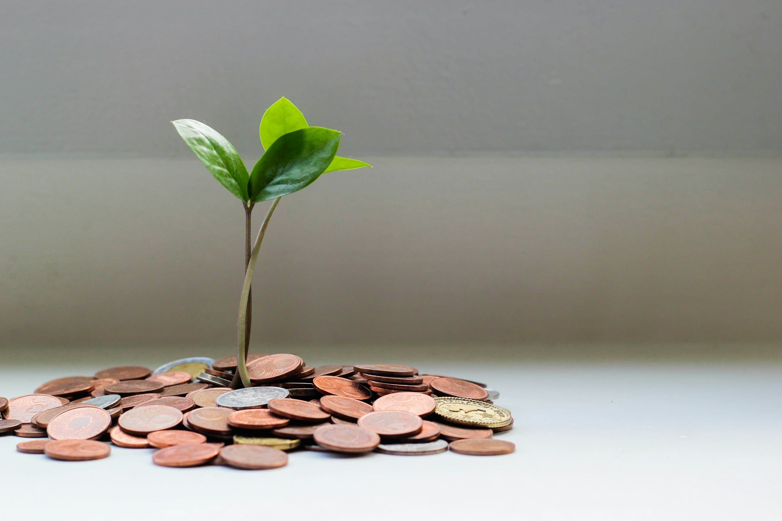 Financial Aid News in Higher Education